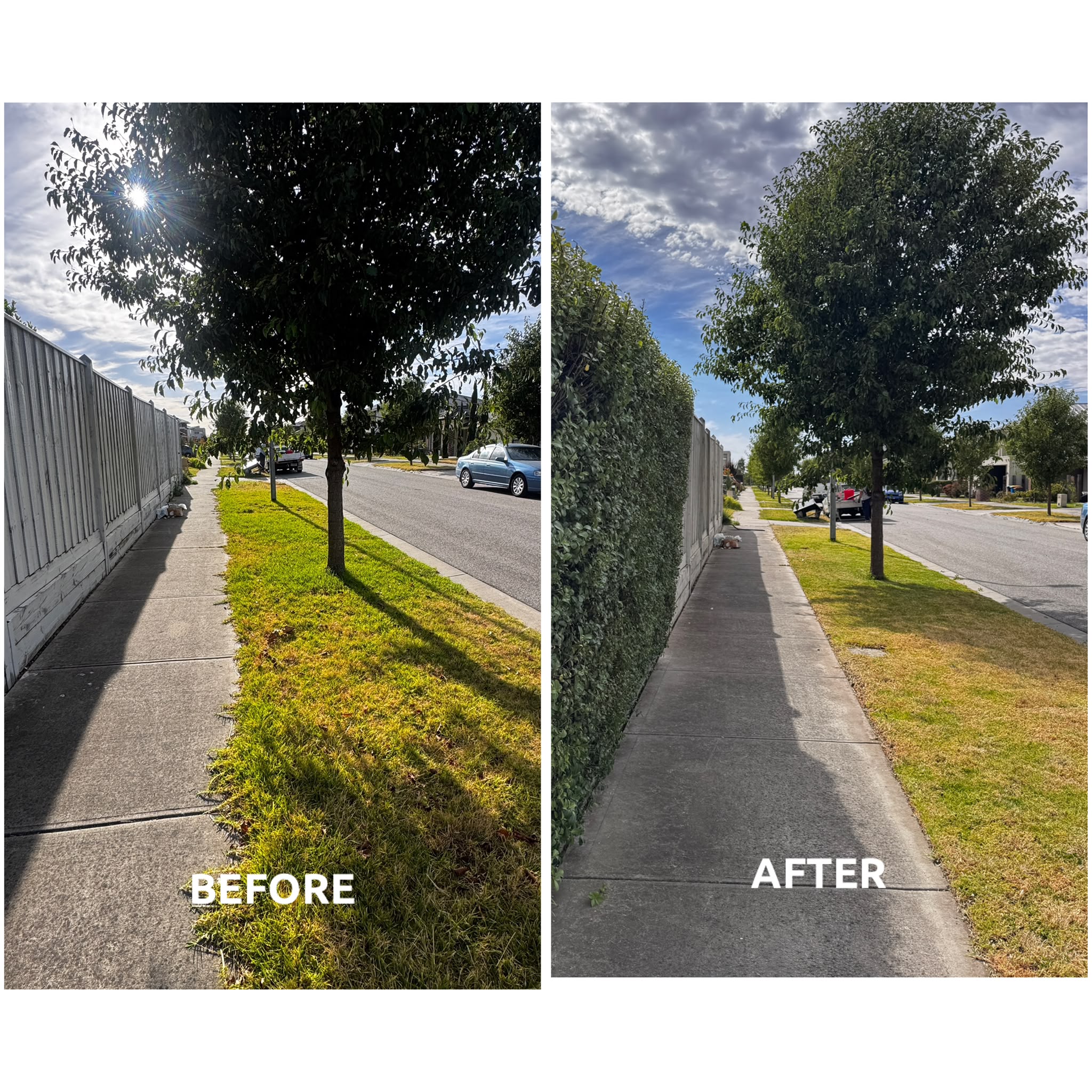 Sidewalk lawn after trimming
