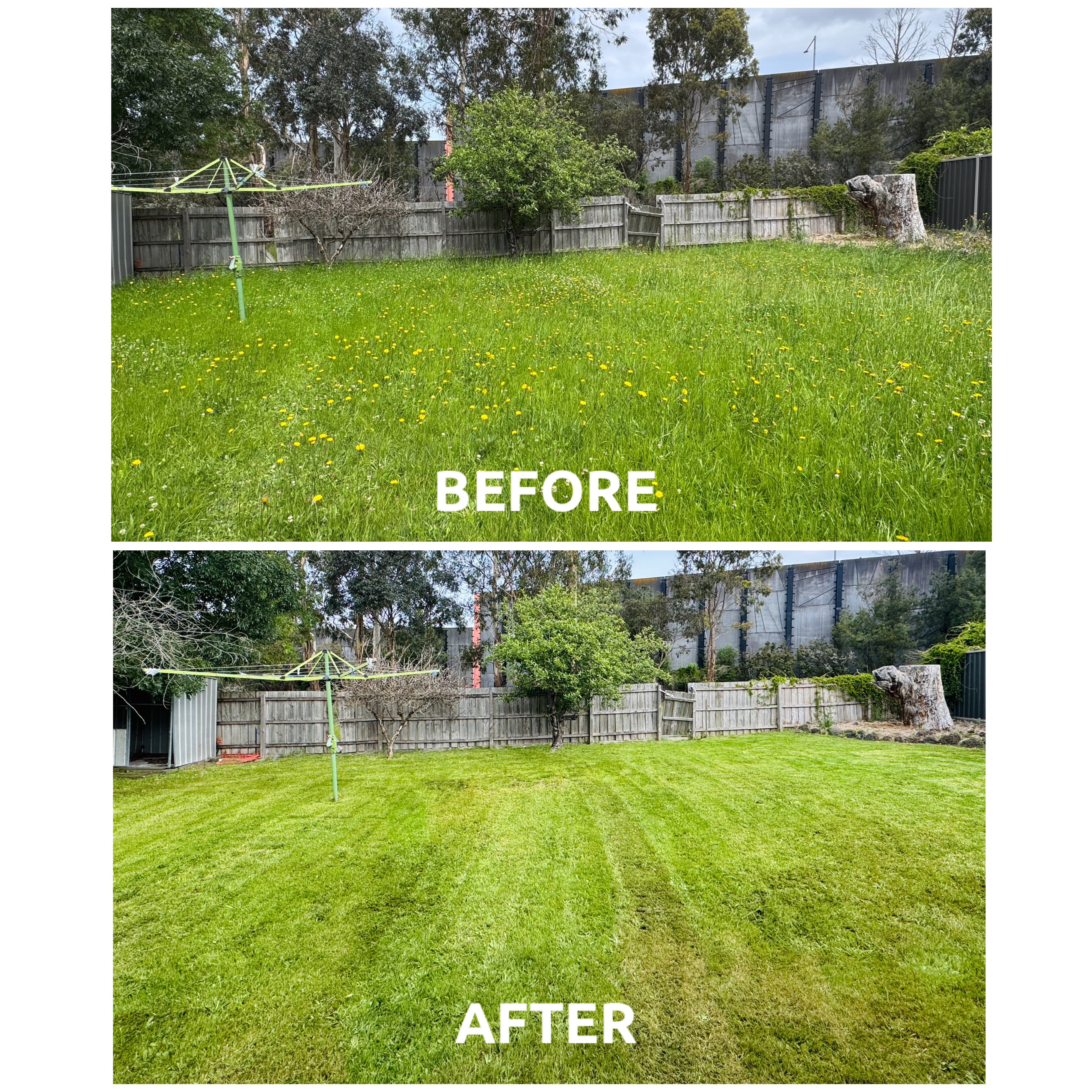 Clean residential garden lawn