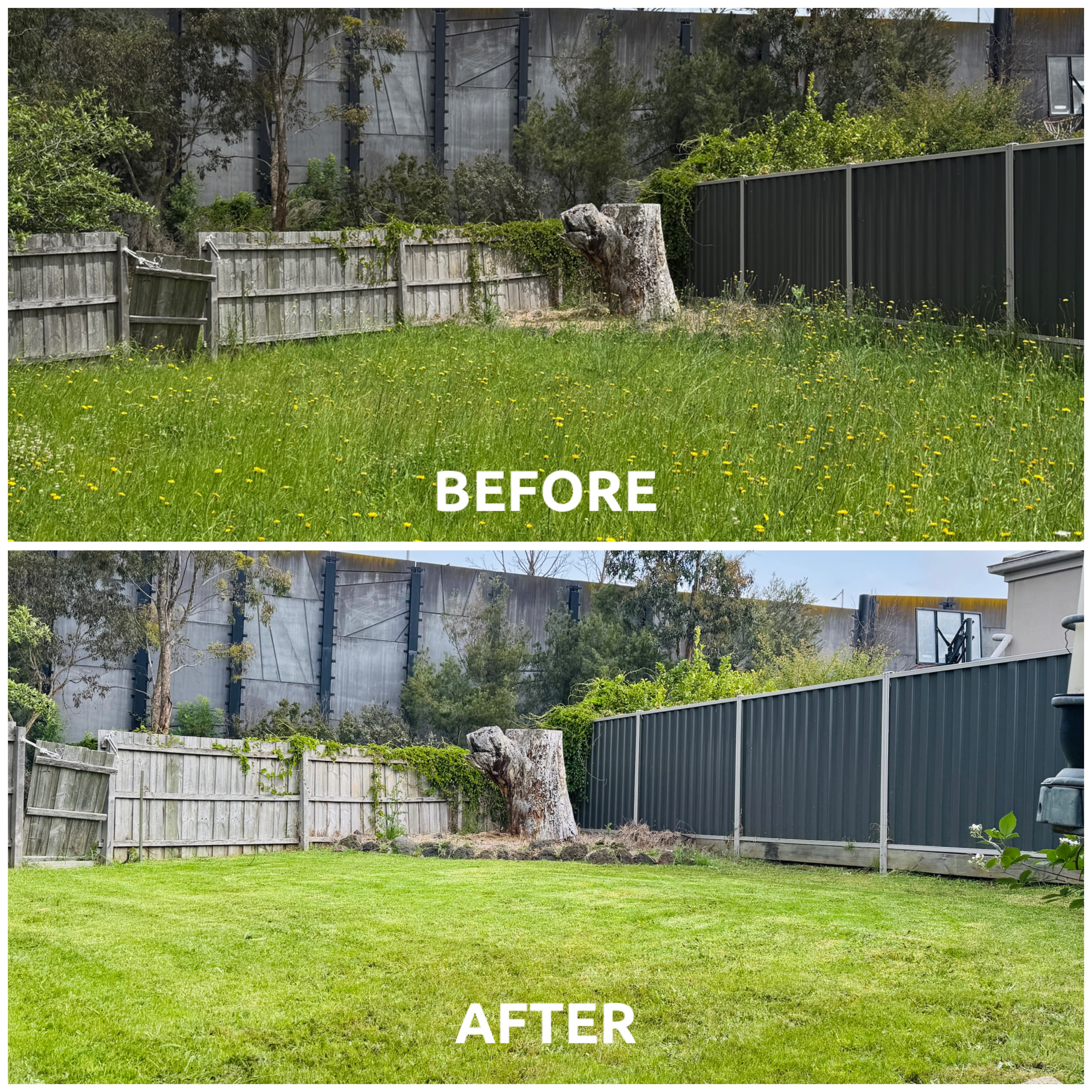 Freshly maintained front lawn